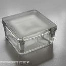 B 1111/6 Sahara 1S Clearview Betongläser 11,7x11,7x6 seves solaris sat France Belgique Briques Blocs de verre paves lsa2000 Danmark Glas blokke pavers konkrete briller glas fliser Glas blokke