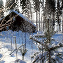 Starten Sie vom Mökki aus mit Langlaufski durch die verschneiten Wälder der Umgebung oder erleben Sie die einmalige Landschaft des gefrorenen großen Sees.