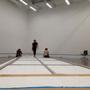 New York, Petzel Gallery, 2014 (W. Guyton)   