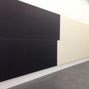 Zürich, Kunsthalle, 2013 (W. Guyton)