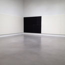 New York, Petzel Gallery, 2014 (W. Guyton)   