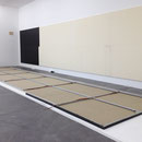 Zürich, Kunsthalle, 2013 (W. Guyton)