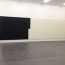Zürich, Kunsthalle, 2013 (W. Guyton)