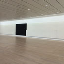 Riehen, Fondation Beyeler, 2015 (W. Guyton)