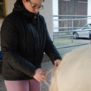 Reitunterricht Ramona Schwanitz