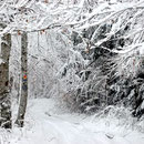 hiver en Ariège-Pyrénées (sentier cathare)