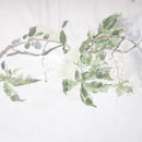 flowers 4, © ska, all rights reserved