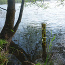 installierter Lattenpegel am Entensee