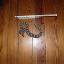 0.1 Crotalus enyo enyo, DNZ 2009 "Vermessungsbild für Software"