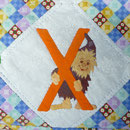 Xaver