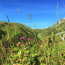 Mountain Yoga Festival, St. Anton. September 2016