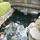 Senso-ji