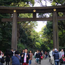 Tori am Meiji-Schrein