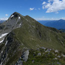 Marmontana