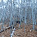Nel bosco sotto il Motto della Croce