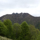 Camoghè