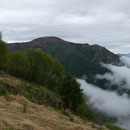 Monte Bar