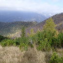 Pluni dall'Alpetta