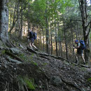 Saliamo all'Alp d'Albionasca