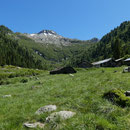 Alp di Rescignaga 1620 m