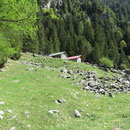 Alpe di Corött 1507 m