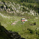 Alp d'Albion
