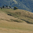Piana