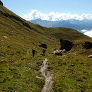 Alp Nursin 
