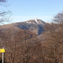 Monte Bar