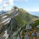 Marmontana