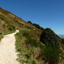 Sentiero che scende a Bellavista
