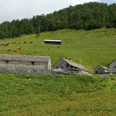 Alpe di Gesero 1706 m
