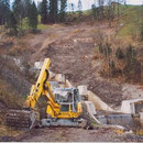 Forstliches Projekt 2002