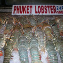 Der berühmte Phuket Lobster ist eine Delikatesse und ist gegenüber den europäischen Preisen für wenig Geld zu geniessen