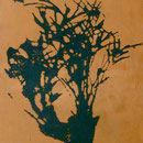 Topfpflanze, 1993, Öl/LW, 60 x 70 cm, Privatbsitz