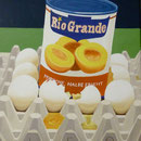 Rio Grande, 1982, Öl/LW, 44 x 56 cm