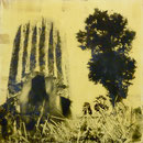 Anpassungsversuch,DGN,  1991, Mischt./Fotoemulsion/LW, 100 x100 cm, 00,--€