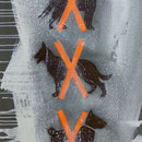 No Dogs!, 2007, Mischtechik/LW, 66 x 96 cm, 