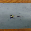 Teelöffel, 2004, Hgl, 55 x 45 cm, 280,-€