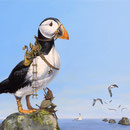 Le gardien de la Pointe de PEN HIR - Acrylique sur toile - 46 X 38 cm - 2014<br><br>Peinture . peintre animalier . artiste peintre . peinture animalière . animal . macareux lemoine . legende celtique . korrigan