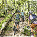 Sortie VTT en forêt vosgienne - Illustration Gazette de la Schlucht N°9 - Encre couleur et trait noir sur papier - 2016 <br><br>Illustration . dessin . sport . sous-bois