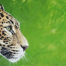 Ceci n'est pas une voiture - (Jaguar) - Acrylique sur toile - 90 x 30 cm - 2016<br><br>Peinture . peintre animalier . artiste peintre . peinture animalière . animal . félin
