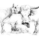 Étude - Crayon noir sur papier - 40 x 30 cm - 2013<br><br>Peinture vache . dessin vache . vache vosgienne . toile . peinture animalière . peintre animalier . race vosgienne