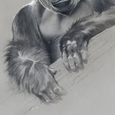 Colosse aux pieds d'argile - Technique mixte sur papier pastel couleur - 40 x 80 cm - 2020<br><br>Peinture . peintre animalier . artiste peintre . peinture animalière . animal . dessin gorille