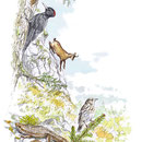 Faune des Hautes-Vosges -  Illustration Gazette de la Schlucht N°7 - Encre couleur et trait noir sur papier - 2015<br><br>Illustration . dessin . hautes Vosges . montagne . chamois . pic noir . lézard