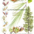 La Phytembryothérapie - Illustration de plantes pour la société LA ROYALE Luxembourg (Produits de la ruche-gelules-tisanes-huiles...) - 2012  <br><br>Illustration . dessin . peinture