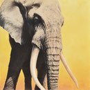 Le Patriarche - Acrylique sur toile - 1 x 1 m - 2008 <br><br>Peinture . peintre animalier . artiste peintre . peinture animalière . animal . elephant . afrique