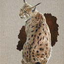 Safran - Acrylique sur toile écrue - 46 x 55 cm - 2021<br><br>Peinture . peintre animalier . artiste peintre . peinture animalière . animal . lynx