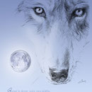 Illustration pour carte Imagerie d'Epinal - 15 x 21 cm - 2011<br><br> Dessin . animalier . animal . loup