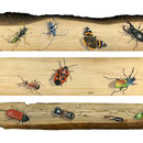 Vie et mort de l'Arbre - Acrylique sur bois - 2013<br><br>Peinture . peintre animalier . artiste peintre . peinture animalière . animal . insecte . trompe l'oeil animaux
